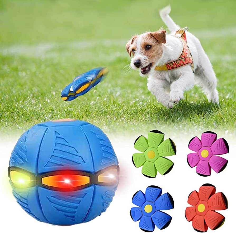 PawPrints Dog Frisbee