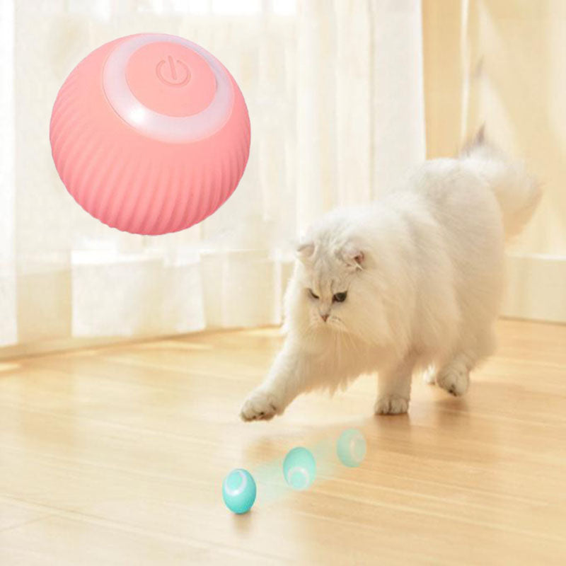 PawPrints Smart Interactive Ball
