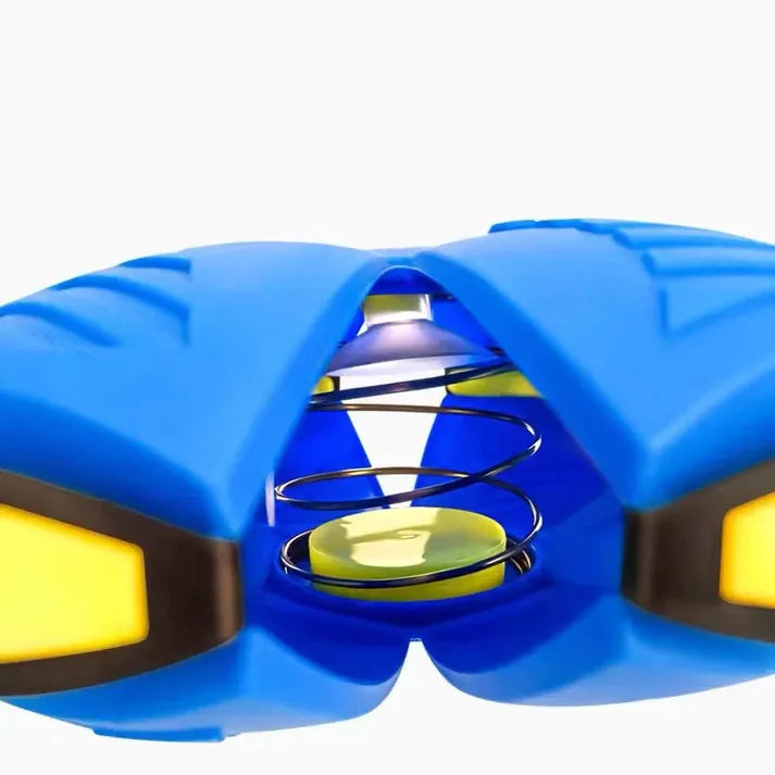 PawPrints Dog Frisbee