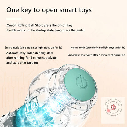 PawPrints Smart Interactive Ball