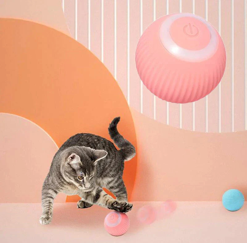 PawPrints Smart Interactive Ball