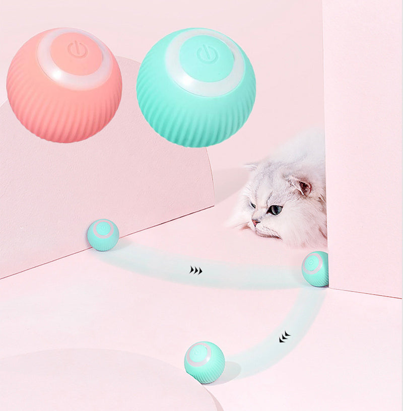 PawPrints Smart Interactive Ball